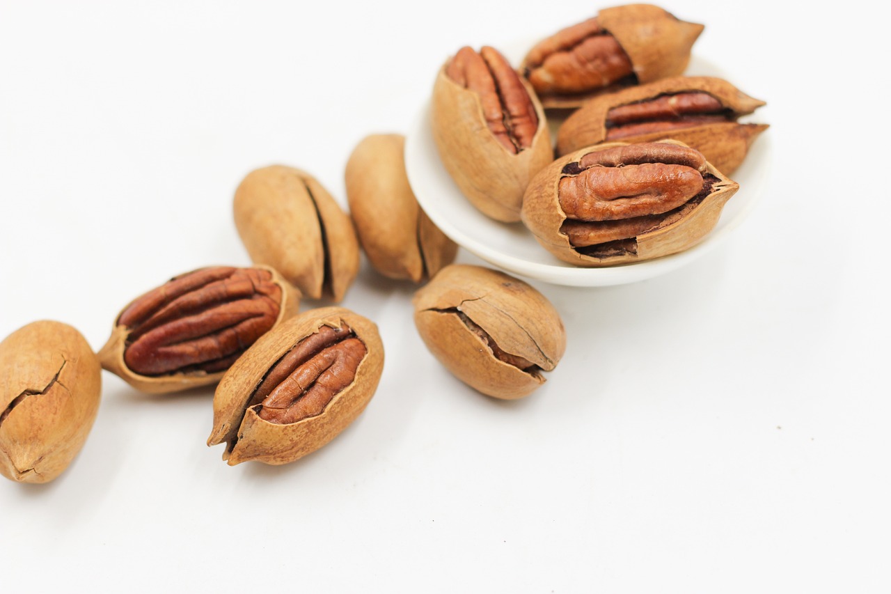 High protein snacks