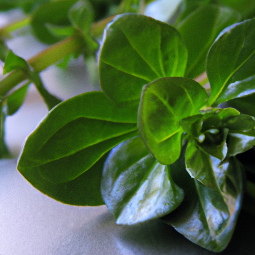 Watercress: The Nutrient-Dense Superfood for Health and Cancer Prevention